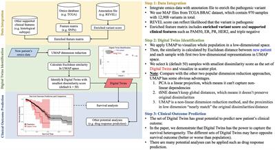 Understanding the need for digital twins’ data in patient advocacy and forecasting oncology